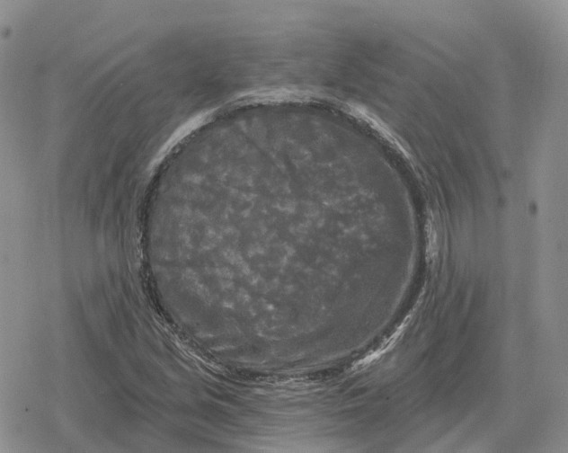 X0000078291213200611251435