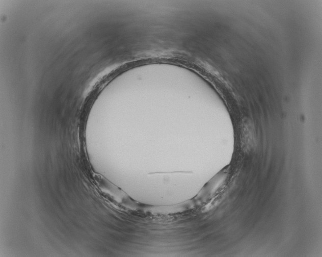 X0000078291214200611251435