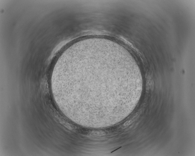 X0000078291215200611251435