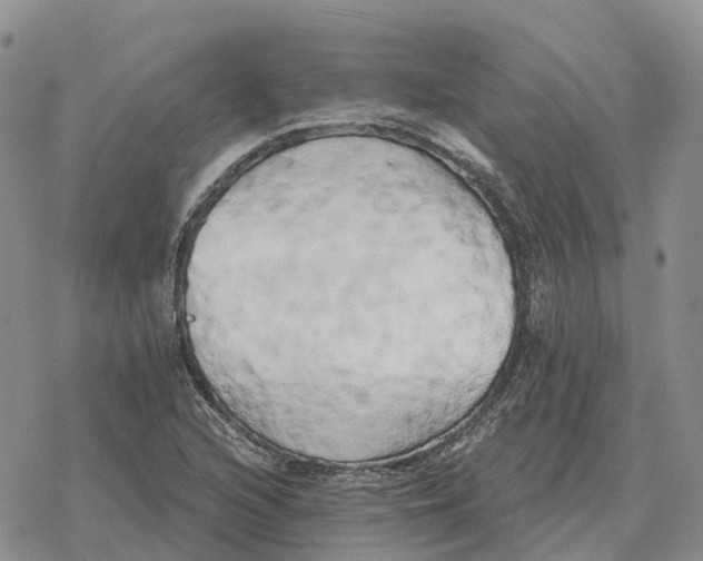 X0000078291216200611251435