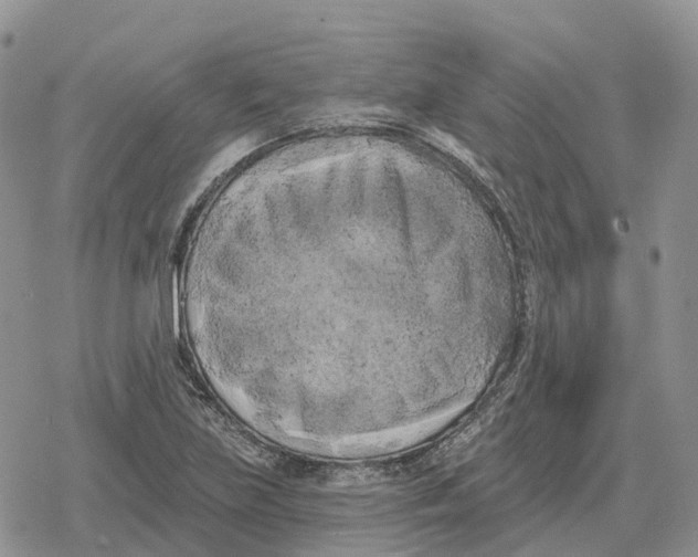 X0000078291219200611251435