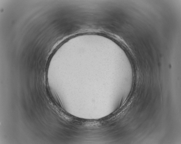 X0000078291220200611251435