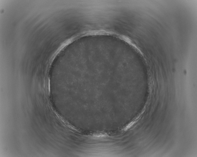 X0000078291221200611251435