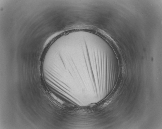 X0000078291222200611251435