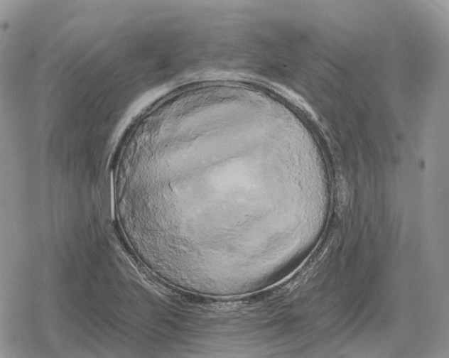 X0000078291223200611251435