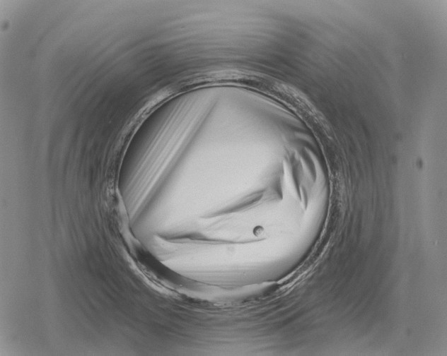 X0000078291225200611251435