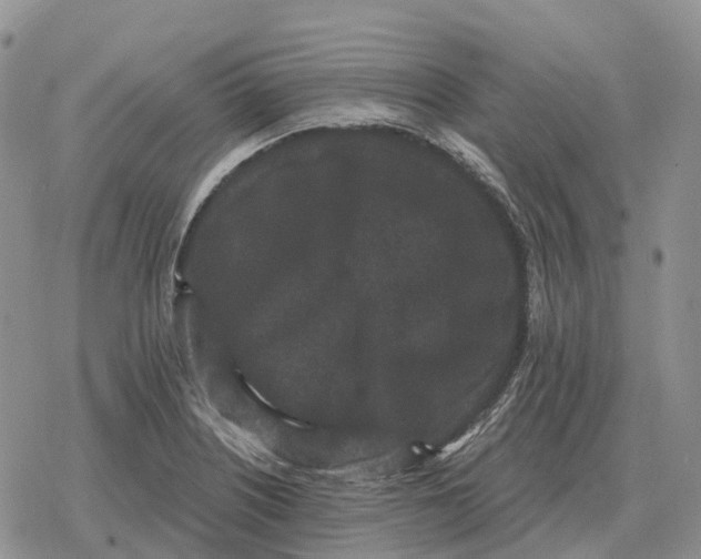 X0000078291226200611251435