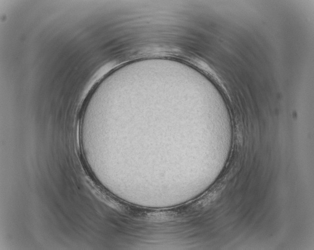 X0000078291227200611251435