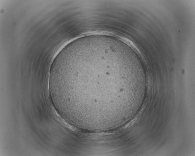 X0000078291228200611251435