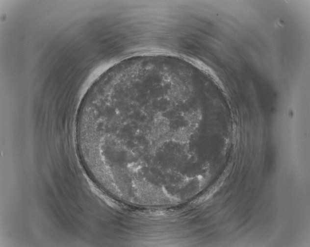 X0000078291231200611251435