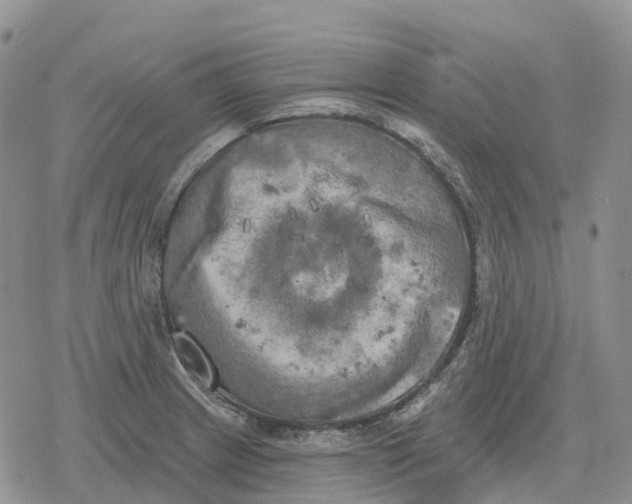 X0000078291233200611251435