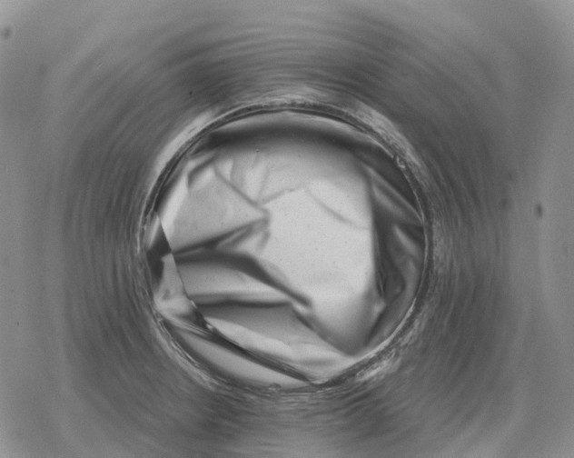 X0000078291234200611251435