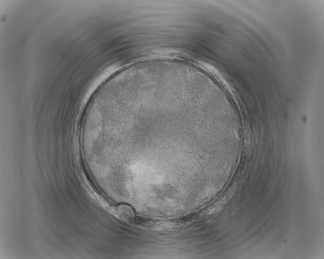 X0000078291235200611251435