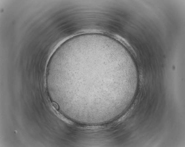 X0000078291236200611251435