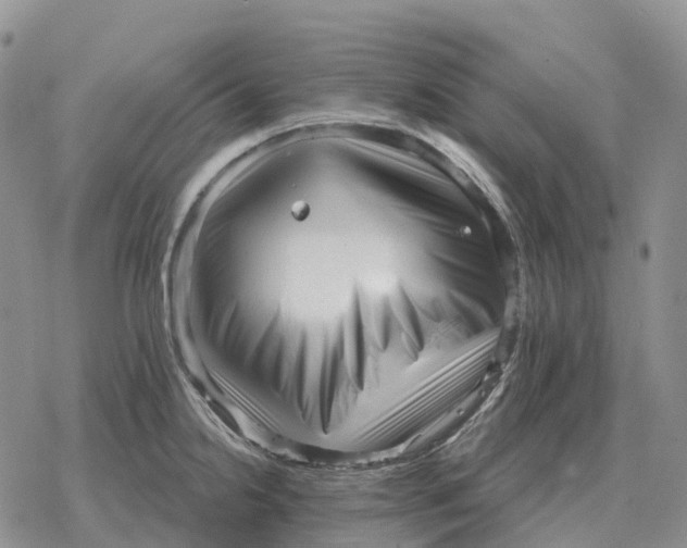 X0000078291238200611251435