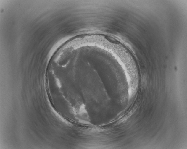 X0000078291239200611251435