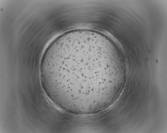 X0000078291240200611251435