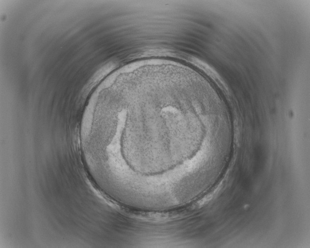 X0000078291241200611251435