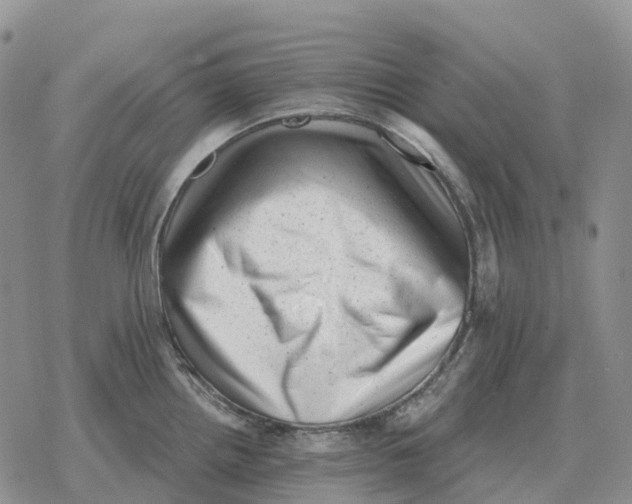 X0000078291242200611251435