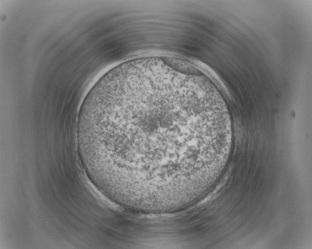 X0000078291244200611251435