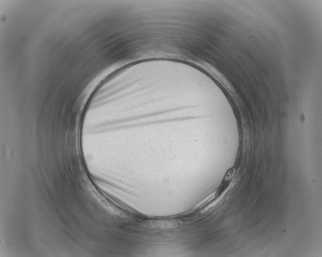 X0000078291246200611251435