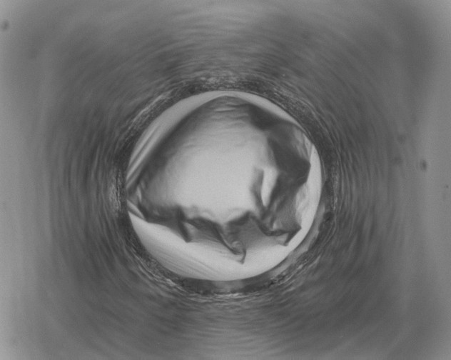 X0000078291250200611251434