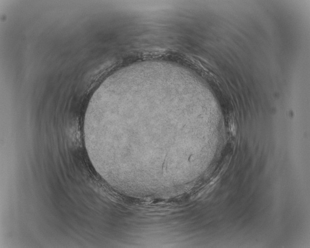 X0000078291252200611251434