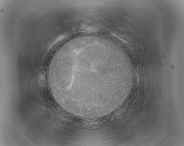 X0000078291254200611251434