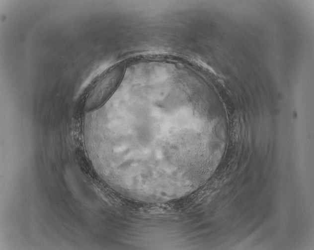 X0000078291255200611251434