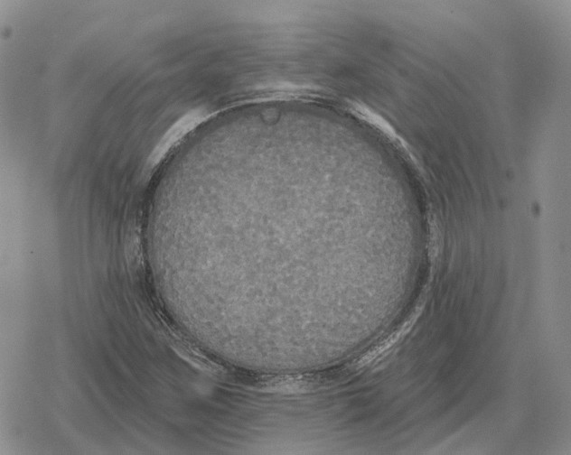 X0000078291259200611251434