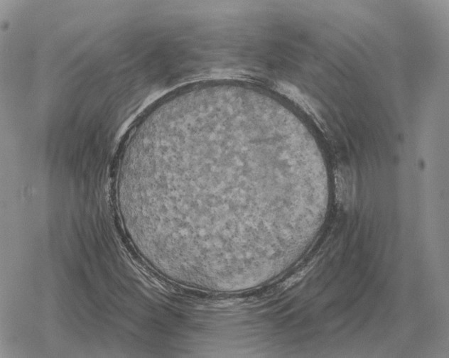 X0000078291260200611251434