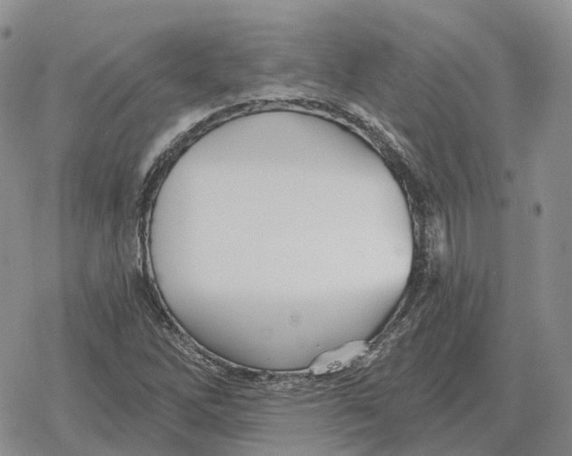 X0000078291262200611251434