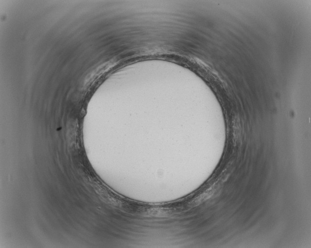 X0000078291265200611251434