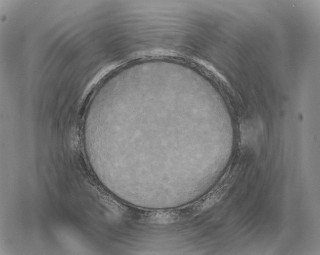 X0000078291266200611251434