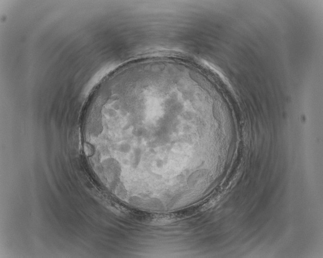 X0000078291267200611251434