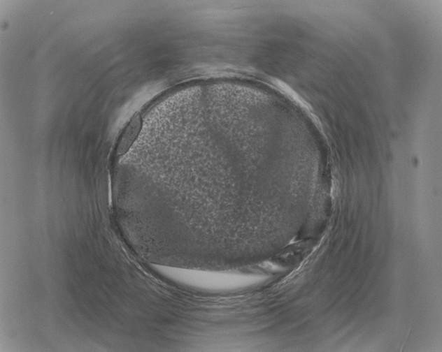 X0000078291269200611251434