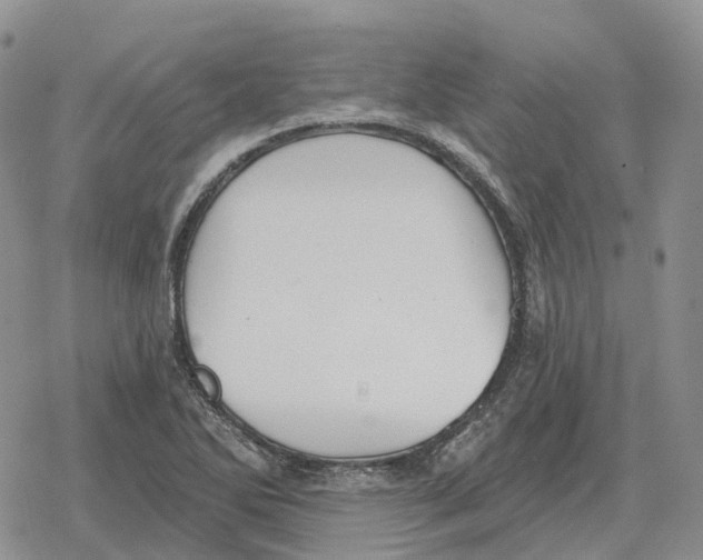 X0000078291270200611251434