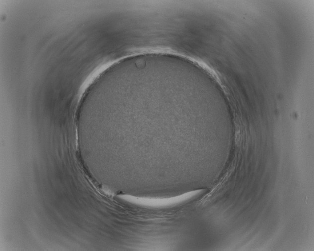 X0000078291271200611251434