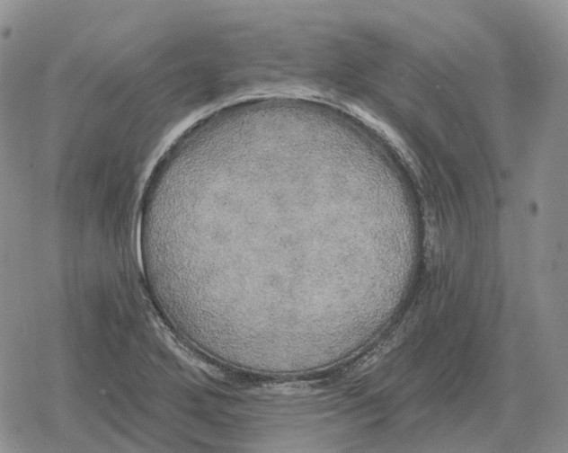 X0000078291272200611251434