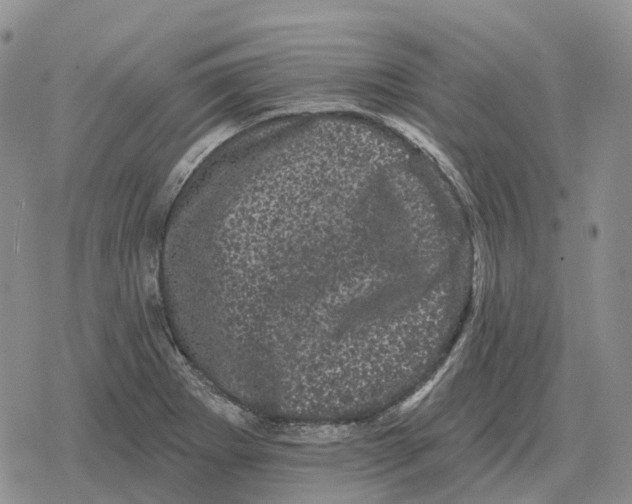 X0000078291273200611251434