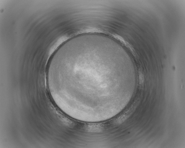 X0000078291274200611251434