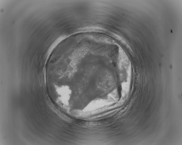 X0000078291275200611251434