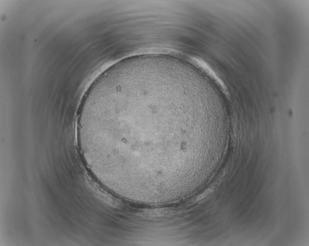 X0000078291276200611251434