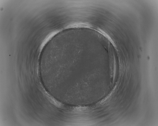 X0000078291277200611251434