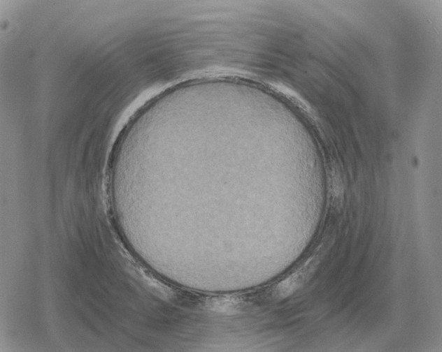 X0000078291278200611251434