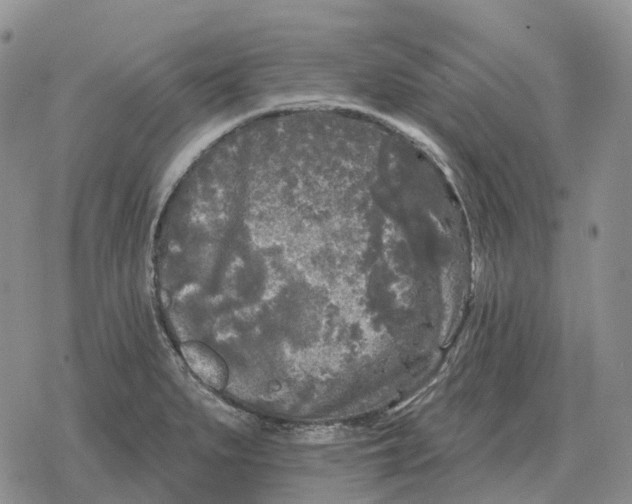 X0000078291279200611251434