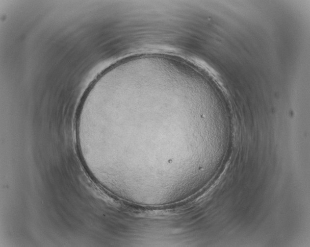 X0000078291280200611251434