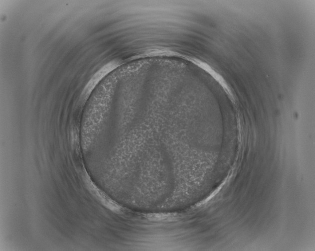 X0000078291281200611251434