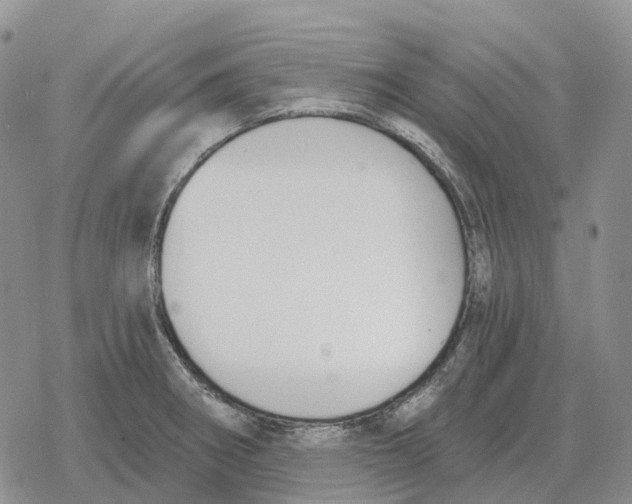 X0000078291282200611251434