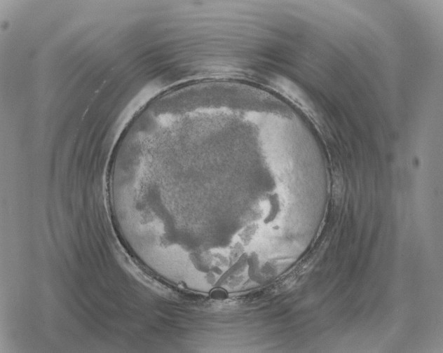 X0000078291283200611251434